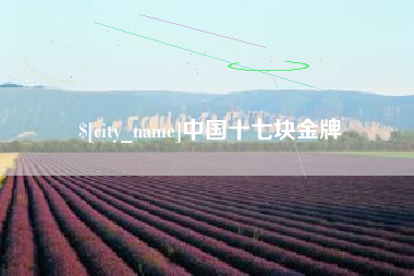 上饶中国十七块金牌