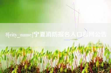 上饶宁夏消防报名入口官网公告