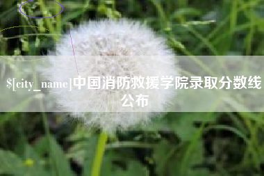 上饶中国消防救援学院录取分数线公布