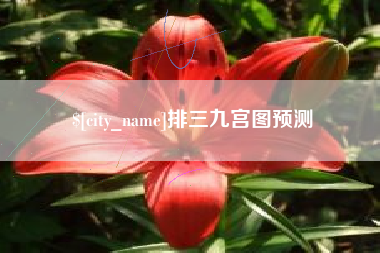 上饶排三九宫图预测