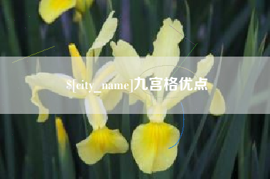 上饶九宫格优点