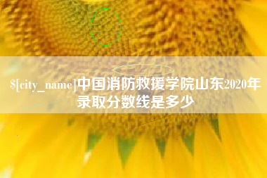 上饶中国消防救援学院山东2020年录取分数线是多少
