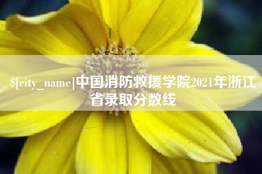 上饶中国消防救援学院2021年浙江省录取分数线