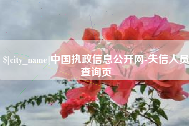 上饶中国执政信息公开网-失信人员查询页