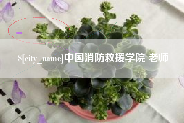 上饶中国消防救援学院 老师