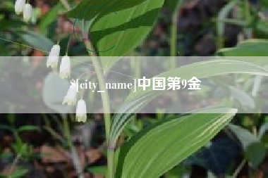 上饶中国第9金