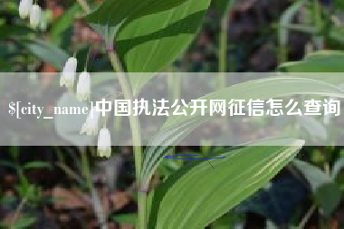 上饶中国执法公开网征信怎么查询
