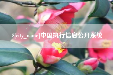 上饶中国执行信息公开系统