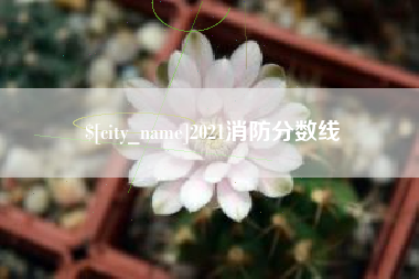 上饶2021消防分数线