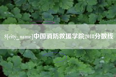 上饶中国消防救援学院2018分数线