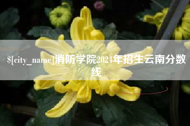 上饶消防学院2024年招生云南分数线