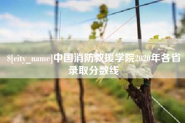 上饶中国消防救援学院2020年各省录取分数线