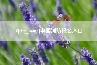 上饶中国消防报名入口