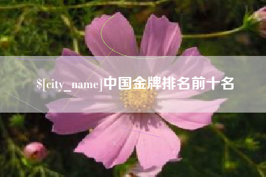 上饶中国金牌排名前十名