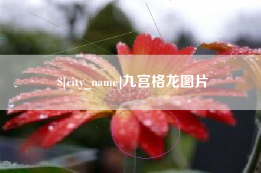 上饶九宫格龙图片
