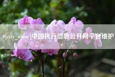 上饶中国执行信息公开网平台维护