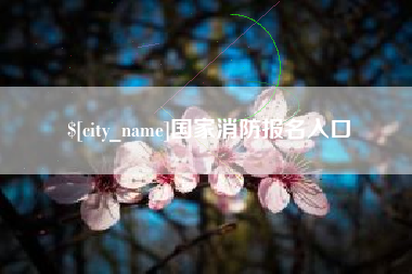 上饶国家消防报名入口
