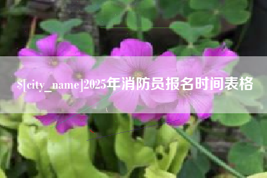 上饶2025年消防员报名时间表格