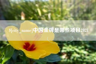 上饶中国金牌是哪些项目2021