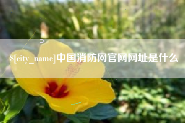 上饶中国消防网官网网址是什么