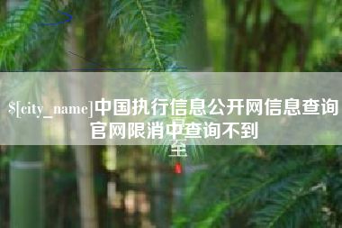 上饶中国执行信息公开网信息查询官网限消中查询不到