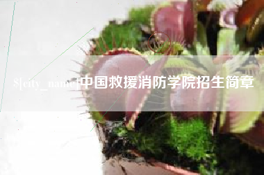 上饶中国救援消防学院招生简章