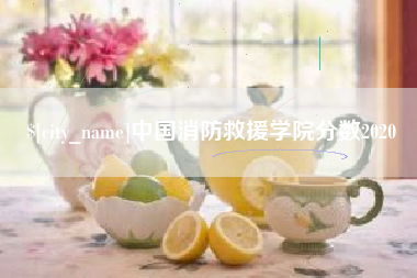 上饶中国消防救援学院分数2020