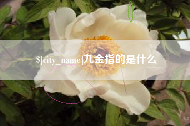 上饶九金指的是什么