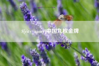 上饶中国九枚金牌
