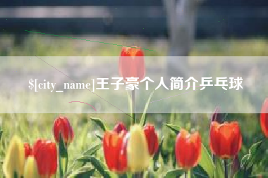 上饶王子豪个人简介乒乓球