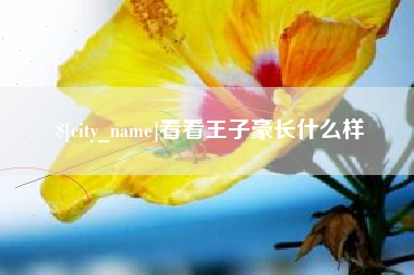 上饶看看王子豪长什么样