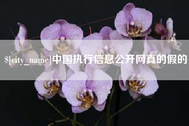 上饶中国执行信息公开网真的假的