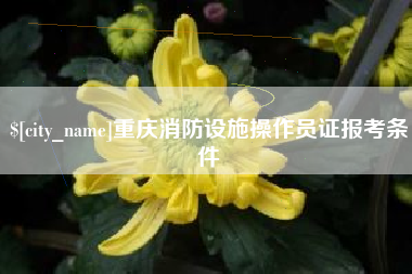 上饶重庆消防设施操作员证报考条件