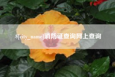 上饶消防证查询网上查询