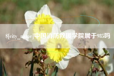 上饶中国消防救援学院属于985吗