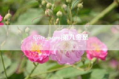 上饶第九金是