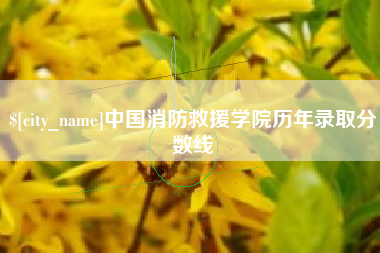 上饶中国消防救援学院历年录取分数线