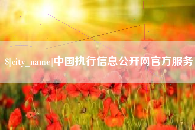 上饶中国执行信息公开网官方服务