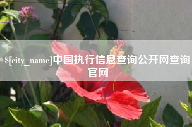 上饶中国执行信息查询公开网查询官网