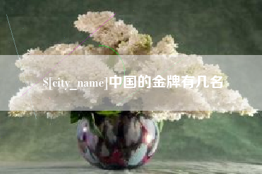 上饶中国的金牌有几名