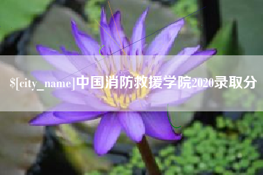 上饶中国消防救援学院2020录取分