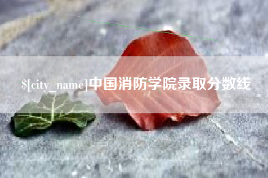 上饶中国消防学院录取分数线
