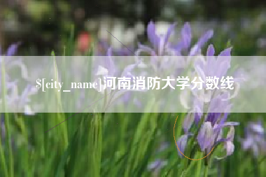 上饶河南消防大学分数线