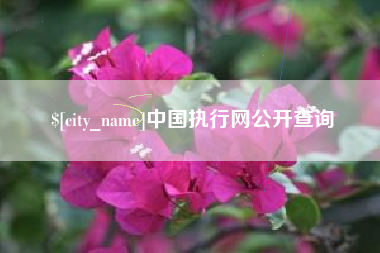 上饶中国执行网公开查询
