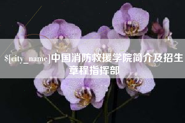 上饶中国消防救援学院简介及招生章程指挥部