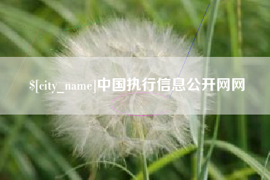 上饶中国执行信息公开网网