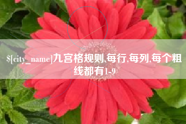 上饶九宫格规则,每行,每列,每个粗线都有1-9