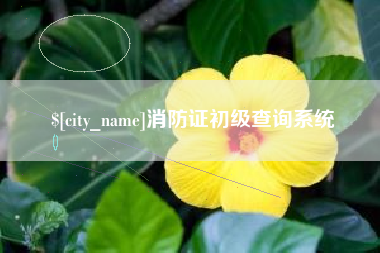 上饶消防证初级查询系统