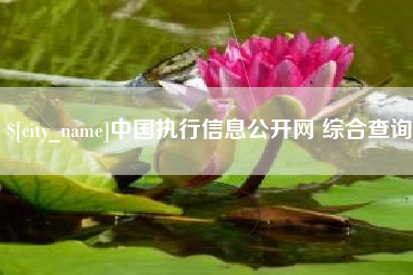 上饶中国执行信息公开网 综合查询