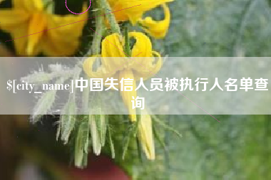 上饶中国失信人员被执行人名单查询